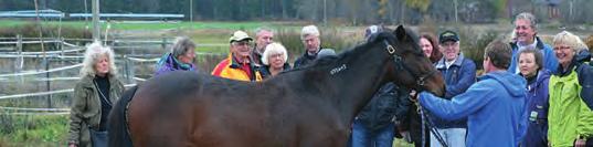 BESÖK HOS GÄVLETRÄNARE Tillsammans med 33 medlemmar i Gävle Travhästägare - förening besökte vi Gävletravets A-tränare Erik Lindegren, Ylva Bodin, Rauno Pöllänen, Tomas Rosén och Jenni H Åsberg.