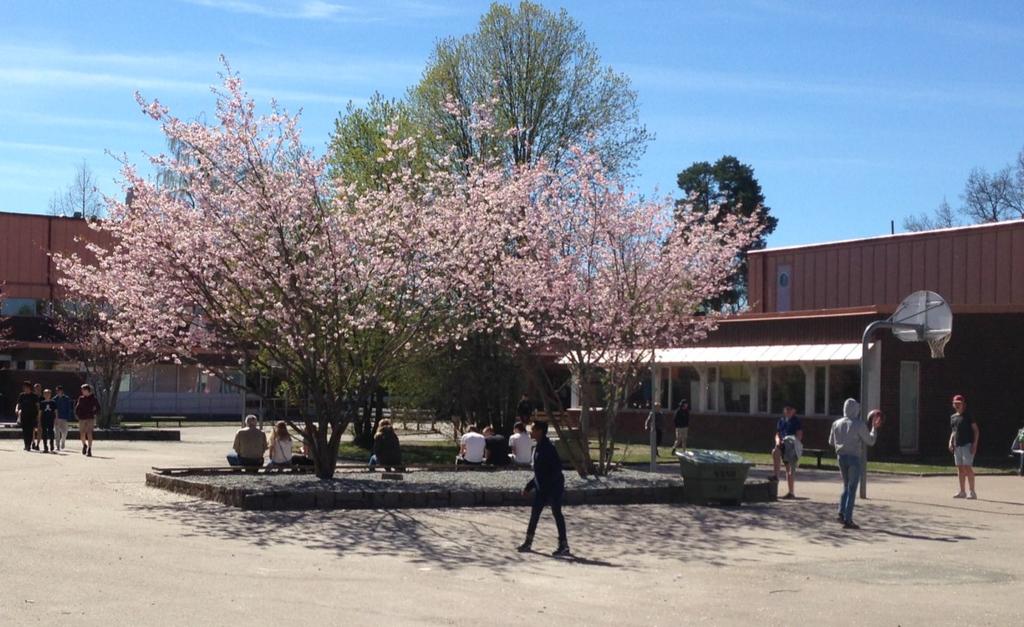 Bredvid kommenteras Bunkefloprojektet som visar på att mer idrott i skolan ger bättre skolresultat. Jämfört med en kontrollgrupp blev fler behöriga till gymnasiet, störst var skillnad för pojkarna.