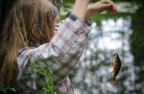 Skydda och vårda våra viktiga vikar Grunda kustnära havsvikar har ett högt ekologiskt värde. De har ofta en rik bottenvegetation och är viktiga uppväxtmiljöer för flera fiskarter i Östersjön.