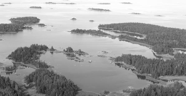 Genom strandexploatering och hög näringsbelastning påverkas dessa miljöer negativt, vilket kan få långtgående effekter på kustens ekosystem och ekosystemtjänster.