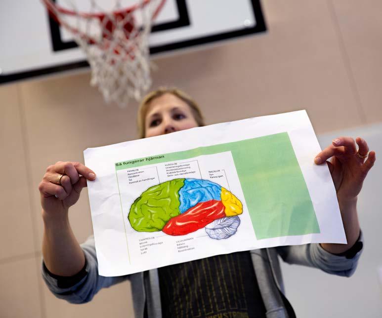 TEMA FRAMTIDENS SKOLA Bildtexter 50 Konkret har föräldrarna fått uppleva att utvecklingssamtalen svängt om. Innan pratade vi mest om det som var svårt.