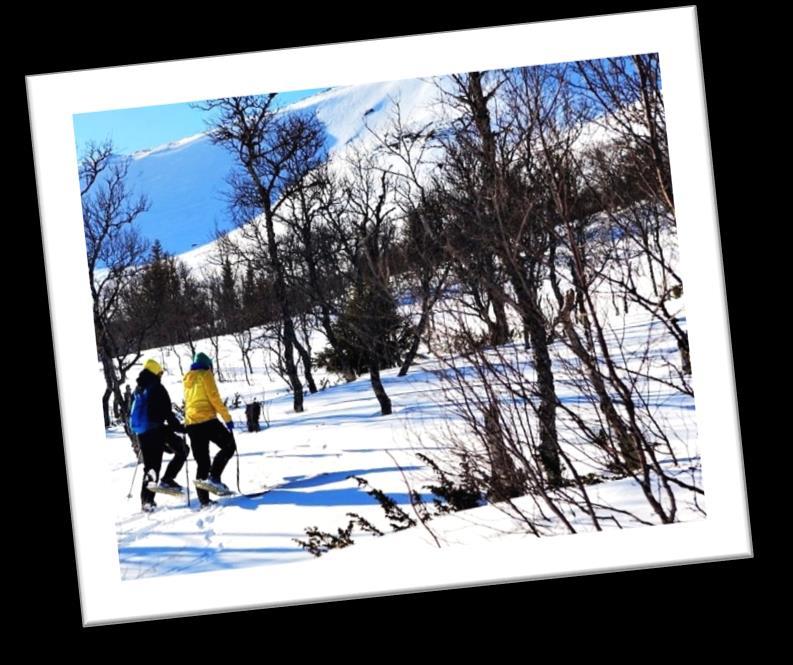 Vår kunnige guide berättar såväl om spåren i snön som om Sälens och Stötens historia.