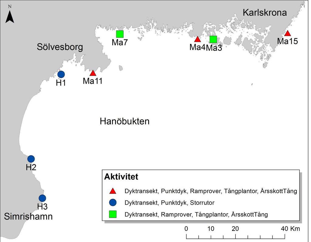 Hanöbuktens kustvattenmiljö 1 Bilaga 1 Fauna och påväxtalger i Fucus-bältet Insamling av blåstångsplantor (Fucus vesiculosus) gjordes på fem lokaler (Fig ).