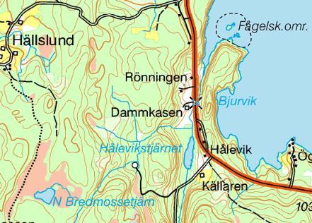 Kiselalger i Värmlands län 20 7PVX002. Hålevikstjärnsbäcken Datum: Län: 7 Värmland Koordinater: 6576700/277400 Provtagn.
