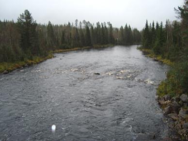 Indexvärdet ligger nära gränsen mot mycket sura förhållanden (årsmedelvärde för ph lägre än 5,5 och/eller ph-minimum under 4,8).