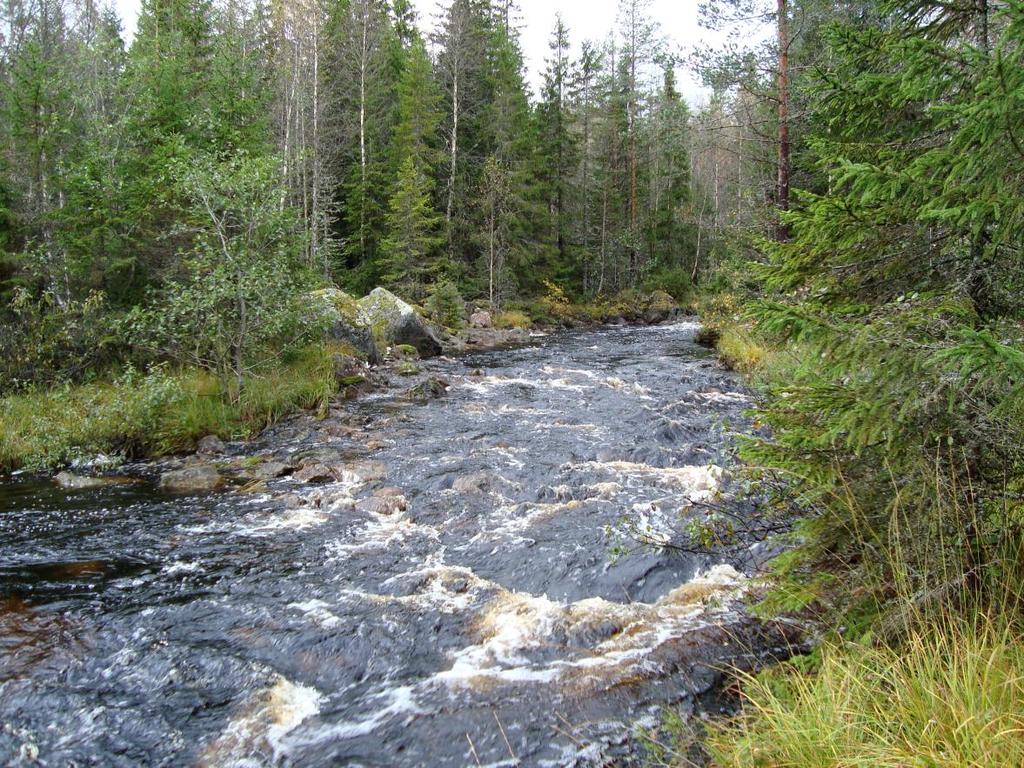 Kiselalger i Värmlands län 20. Inledning har fått i uppdrag av Länsstyrelsen i Värmlands län att utföra kiselalgsanalyser på 33 vattendragslokaler och i en sjö år 20.