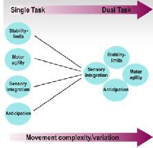 Stability limits Cog- DT 6 Sensory integration/ APA Mot-DT C