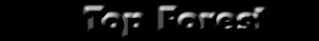 Te k n i k Top Forest passar bäst på vedbacken Då j ag k o m m i t ö v e r f ö r- v å n i n g e n at t j ag k a n få en m o t o r s å g f ö r ett p r i s u n d e r 100 e u r o bestämde j ag m i g f ö