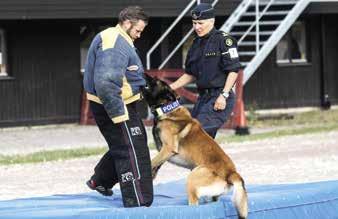 Regler Polishund SM 2017 Polishunden 3-2017 ning självmant eller på förarens kommando. Hunden skall vara under kontroll inom ca. 10 sekunder efter att figuranten blivit passiv.