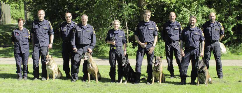 NM för Polishundar 2017 Polishunden 3-2017 Mimmi, Fredrik, Jerker, Petter, Johanna, Simon, Peter, Janne och Johan.