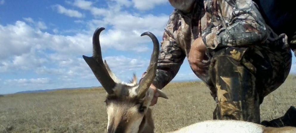 - Prongh Höjdpunkter & Beskrivning orn och Åsnehjort i Wyoming 3 DAGAR FRÅN $2,100.