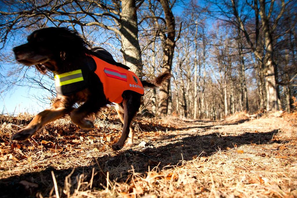 3 DOGTECH PRO 2017 Skyddsväst mot varg, vildsvin, trafik & drunkning Protective vest against wolf, wild boar, traffic, and drowning DOGTECH EURO 2017 Skyddsväst mot vildsvin, trafik & drunkning