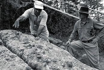 som har kommit att ta reda på påståendet av en amatörforskare att en kulle i centrala Bosnien gömmer en forntida pyramid, sa på onsdag att struktur är mangjorda och värt att undersöka.