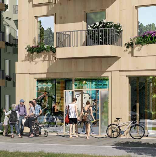 onceptet Sämja är inspirerat av skogen och Sämja gott förhållande, samförstånd, harmoni, vänskap, fred speglar sig både arkitektoniskt och i vardags livet för de boende.