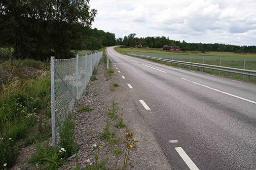 Hyllan ansluts till stränderna med en så kort anslutning som möjligt det ska vara lätt för djuren att hitta till och komma upp på hyllan. Anslutningarna ska anläggas så att de inte kan översvämmas.