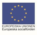 ANBUDSINBJUDAN SEMINARIUM ATT LEDA OCH UTVECKLA EN IDEELL FÖRENING FÖR ESF PROJEKTET KUL 3.0 1. UPPDRAGSBESKRIVNING 1.1 Upphandlande organisation PÅ Limhamns Ekonomiska förening.