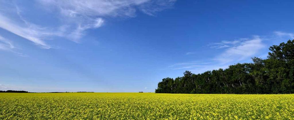 Klimatfrågan På klimatkonferensen i Paris 2015 kom världens länder överens om att temperaturen inte ska få öka mer än 2 C över förindustriell nivå, helst bara 1,5 C.