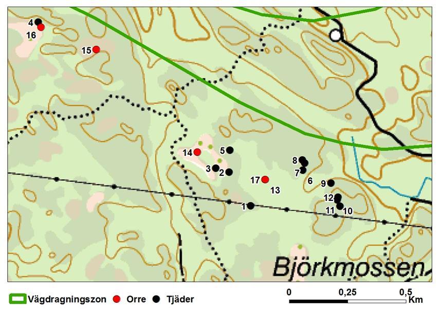 Figur 4. Detaljerad fyndbild av spillning med numrering enligt tabell 3. I området med tjäderspillning nr 7 12 ter sig miljön lämplig för spel.