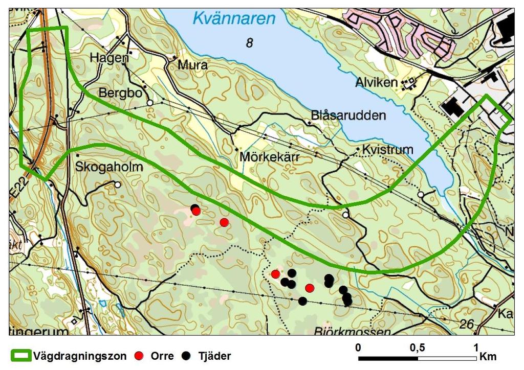 Totalt gjordes 13 fynd av tjäderspillning spritt på hällmark söder om vägdragningszonen.