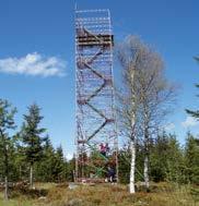 Telefon 060-810 50 www.tomatas.n.nu 40. Lögdö vildmark 50 000 ha stort sjö- och skogrikt område med ett mycket rikt djurliv och fantastiska naturupplevelser.