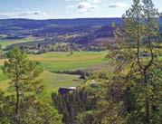 Där kan du utforska naturen och njuta av vildmarken. Många av naturreservaten har iordningsställda vandringsstigar och bra rastplatster. 17.