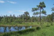 Butik brorannansdotter, Mjölsätt Hantverksbutik och loppis i mysig miljö bland tomtar och annat oknytt. Loppis är i den gamla ladugården. Hantverksbutiken säljer alster från lokala hantverkare.