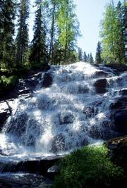 En vandring längs stigen bjuder på en annorlunda natur med dramatiska nipor och djupa raviner efter Mjällån. 14.