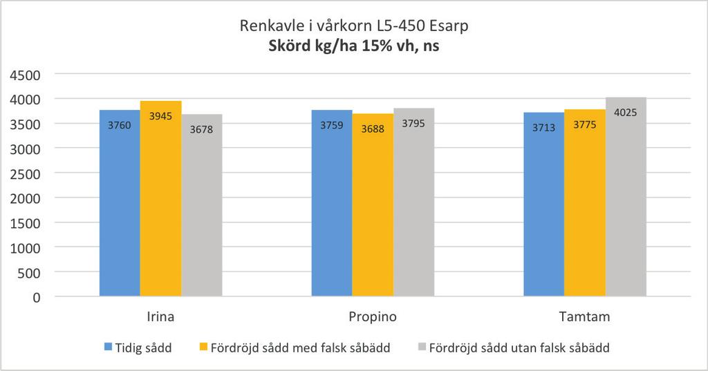 etableringsmetoderna. Tydligast skillnader syns mellan foderkornssorten TamTam och de provade maltkornssorterna i Klagstorp.