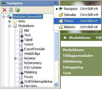 Kopiera/klistra in: Används för att kopiera och klistra in objekt. Spara version: Används för att spara aktuell version av webbsidan. Återta version: Används för att återgå till en tidigare version.