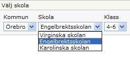 ITavdelningen. Detta till skillnad mot fliken E-post (se nedan) där alla mail skickas till de e-postadresser som är uppsatta.