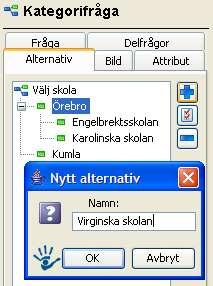 ytterligare en delfråga ( Skola ). Klicka på fliken Alternativ.