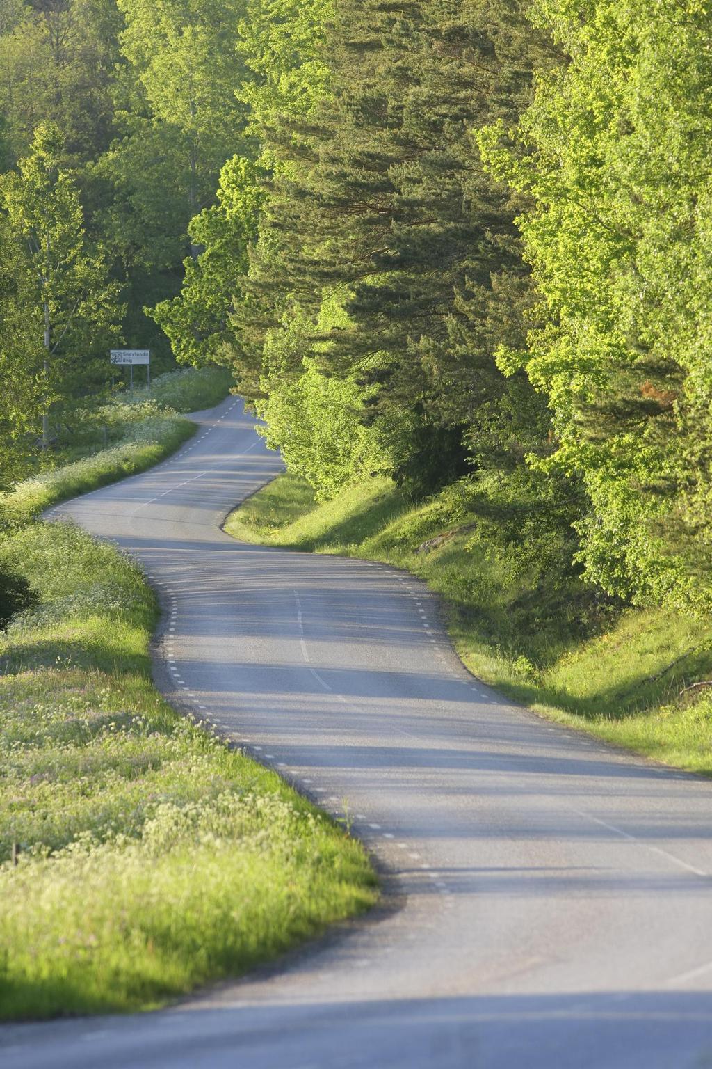 Rapport Datum: 2017-02-05 Bilaga 1 Effektmål för