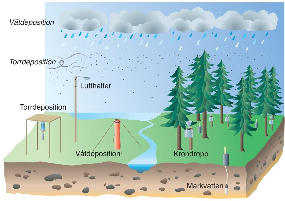 analyseras i relation till effekter främst på tillstånd i mark, ytvatten, vegetation samt den brukade skogens långsiktiga näringstillstånd och hälsa. Figur 2.