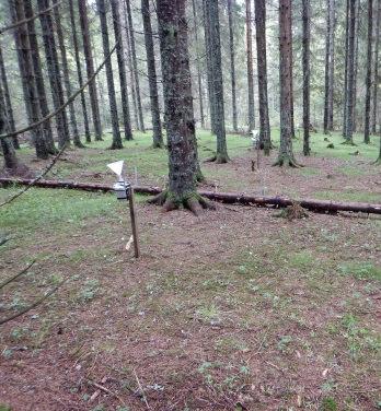 och lufthaltsmätningar startades igen under 2011. Blåbärskullen (S 22): Granskog i västra delarna av mellersta Värmland, planterad 1951.