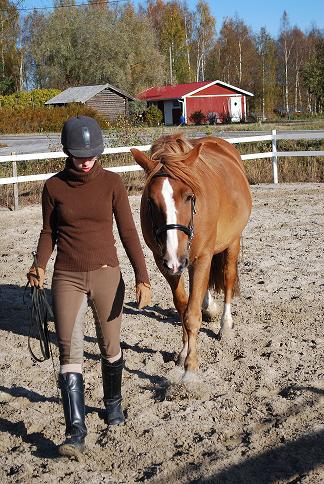 Vi tillbringar cirka fem timmar i aktivitetsparken. Ta gärna med er inneskor. Bekanta dig med stället via webbplatsen www.dap.fi/seinajoki Bussrutt: Replot Shell kl. 9.15 Norra Korsholms skola kl. 9.35 Smedsby Neste kl.