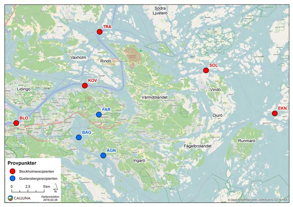 Undersökningar i Stockholms skärgård 2016 Bilaga B Plankton mesozooplankton). I några fall kunde det inte göras då antalet individer i provet var för få.