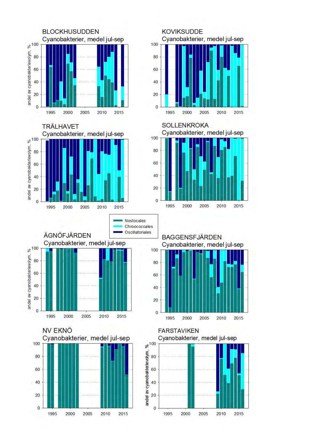 Undersökningar i Stockholms skärgård 2016 Bilaga B Plankton I den södra och yttre skärgården utgör ordningen Chroococcales generellt en försumbar liten del av biovolymen under hela mätserien (figur