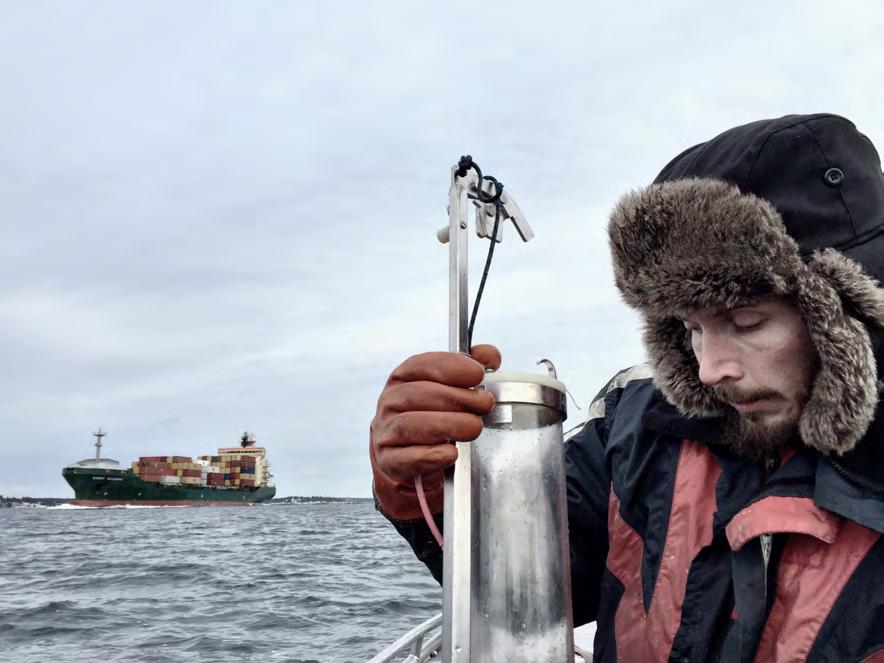 Undersökningar i Stockholms skärgård 2016 Bilaga C Bottenfauna Jämförelser med tidigare år Tidigare år har man redovisat utvecklingen över tid för biomassan hos det totala samhället och för några