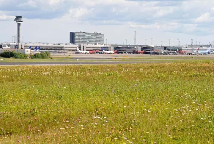 Samverkansgruppen för biologisk mångfald,