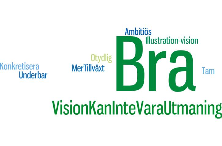 Vision Bra (8) - Visionen anser vi är bra!