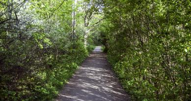 NYHET! Kundvagnsrace - Den löpare som först passerar 2 km kvar och väljer att springa med kundvagnen till mål vinner innehållet.