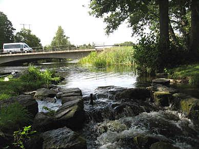 D3. Djulöholmskanalen Län: 4 Södermanland Beskuggning: 5-50 % Koordinater: 6538514/1522632 Vattennivå: medel Datum: 2009-08-25 Vattenhastighet: strömt Provtagningsmetodik: SS-EN 13949 Grumlighet: