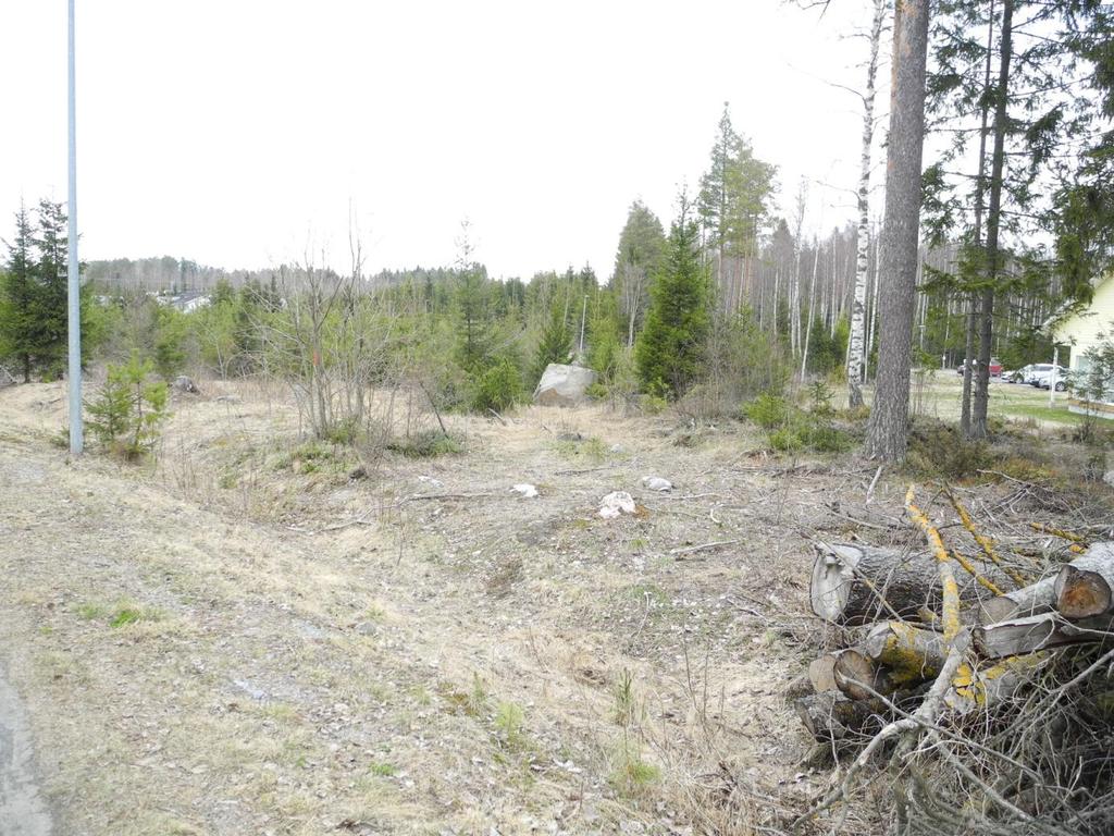 5 Bild 3. Området där cykel- och gångvägen planeras består av plantskog. 3. Planeringssituation 3.