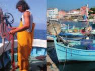 Farnet Magazine Nr 4 I Kevad-suvi 2011 I lehekülg 22 Uudised PRANTSUSMAA Pescatourisme 83 Kogumaksumus: 277 590 eurot ELi osalus (Euroopa Kalandusfondi 4.
