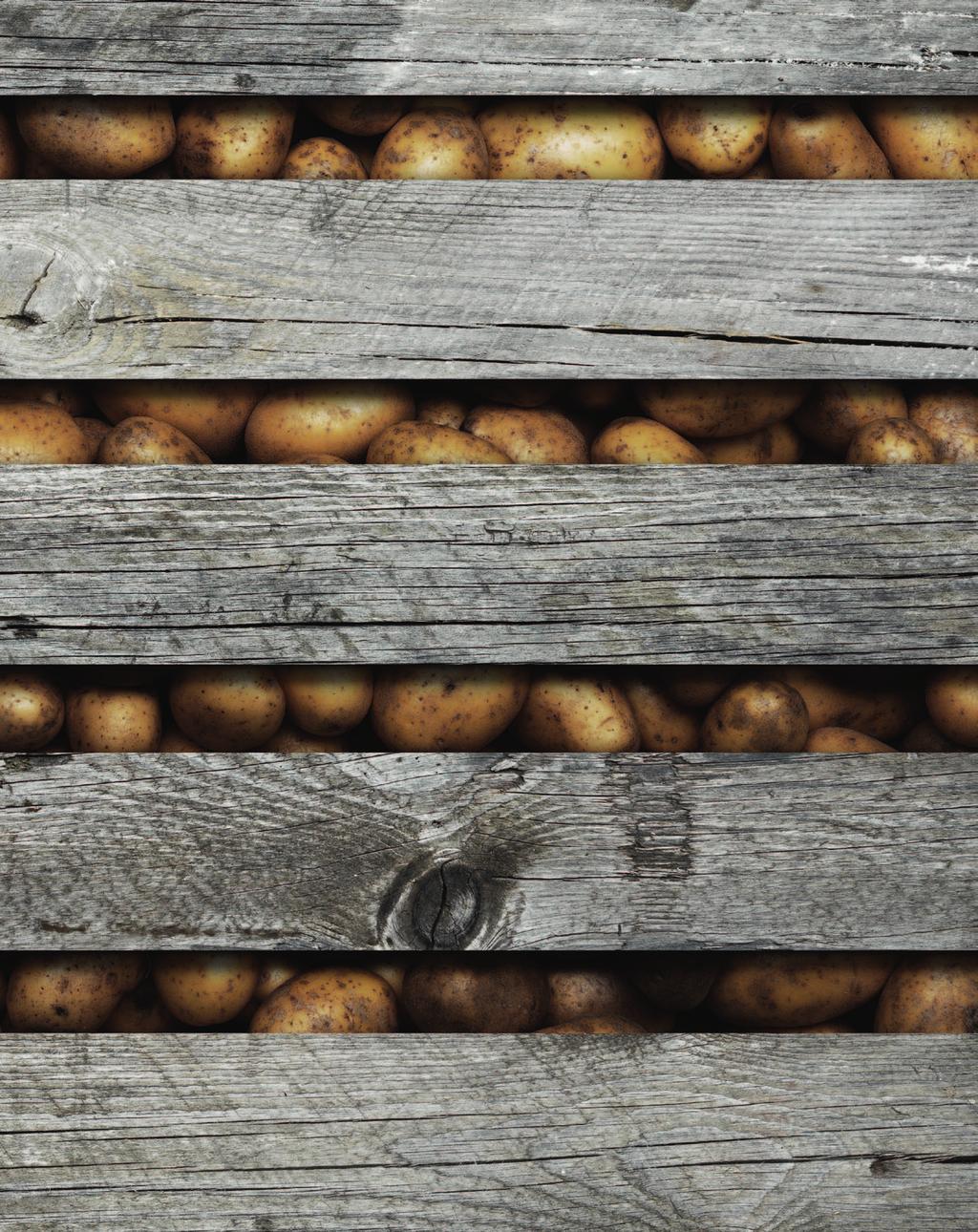 Potatis och rotfrukter Lathund för att skapa