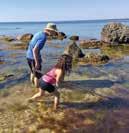 Arrangeras av Naturskyddsföreningen och Studiefrämjandet. ÖPPEN BORG PÅ LILLÖ Varje söndag 7 maj-27 augusti kl 11.30 15. Kom till Lillö och upptäck den medeltida borgruinen.