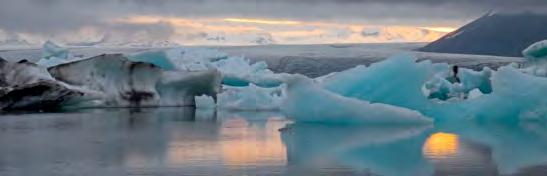 Kalendarium Lör 4 feb Strömstare vandring vid Nyfors Sön 5 feb Natursnokarna: Spår o djur Lör 11 feb Vinterkvist i Tyresta Tors 23 mars Årsmöte Lörd 25 mars Earth Hour Lör 1 april Ugglor i Åva Sön 2