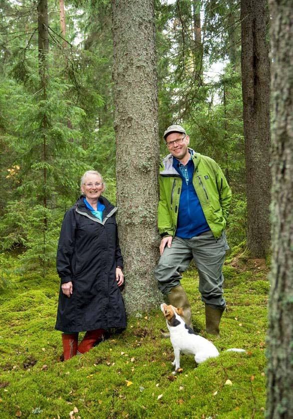 Hur hamnade vi här? 1. Född i en skogsbacke 2.