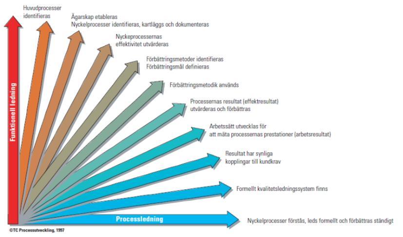 EFQM (European Foundation for Quality Management) har med kriterierna för Utmärkelsen European Quality Award beskrivit arbetet med att övergå från funktionell ledning till processledning i tio steg.