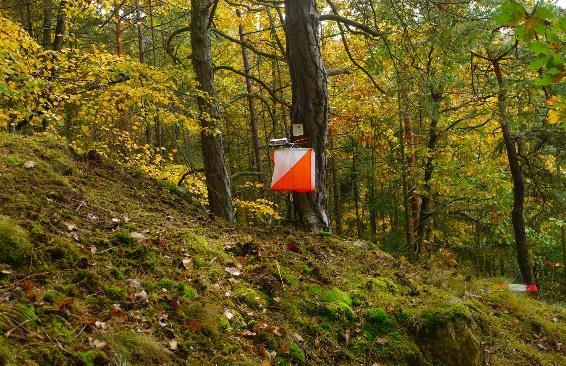 Markfrågor Utan tillgång till skog är det svårt att arrangera tävlingar. Därför är markfrågorna centrala för orienteringsrörelsen.